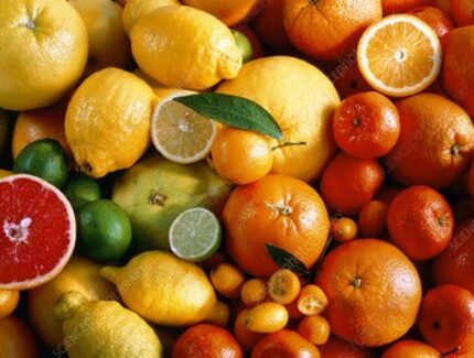 H1101254-Assortment_of_citrus_fruits.jpg