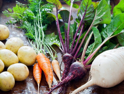 root-vegetables-and-tubers-freshpoint-produce-101-1.jpg