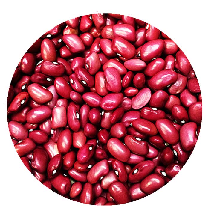 Dark-Kidney-Beans.jpg