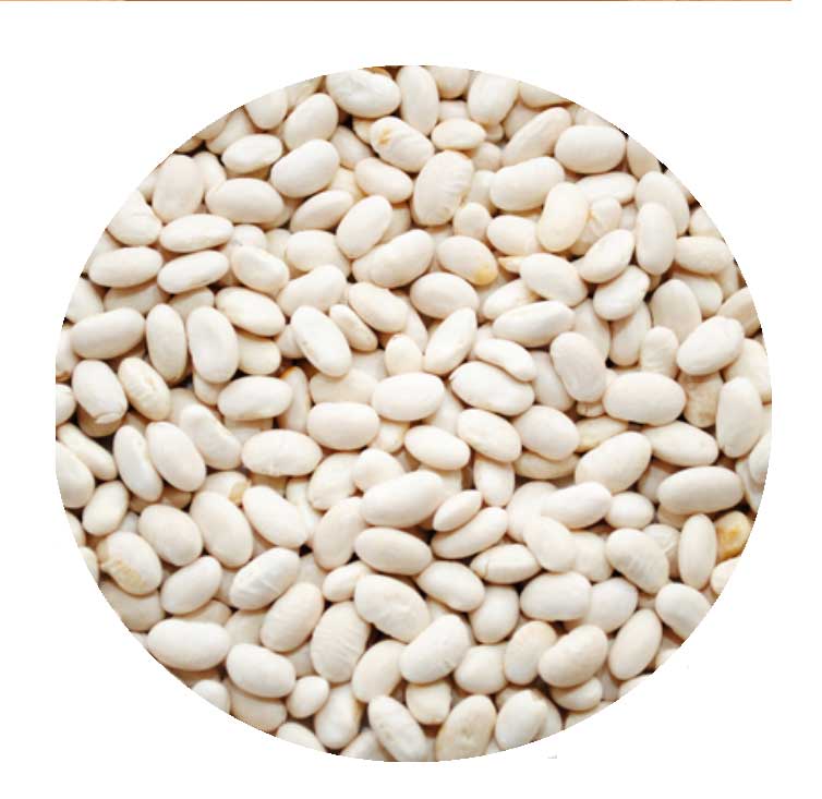 Great-Northern-Beans.jpg