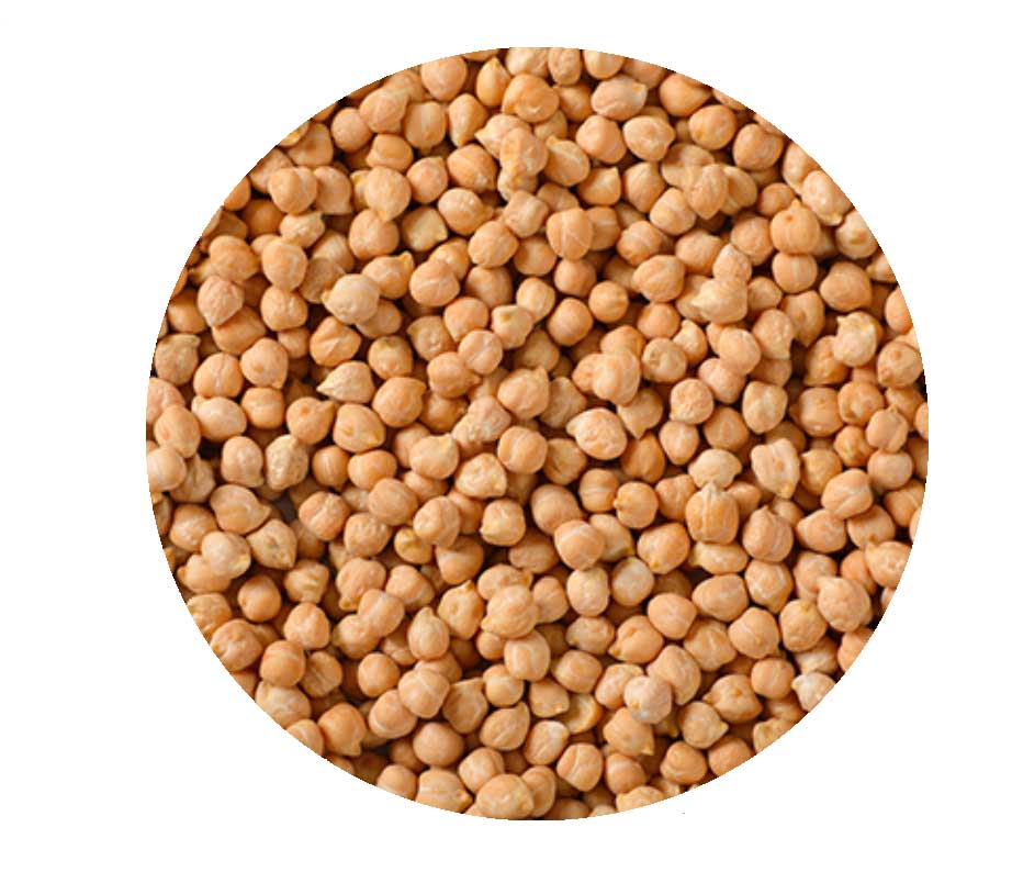 Kabuli-Chickpeas-8mm.jpg