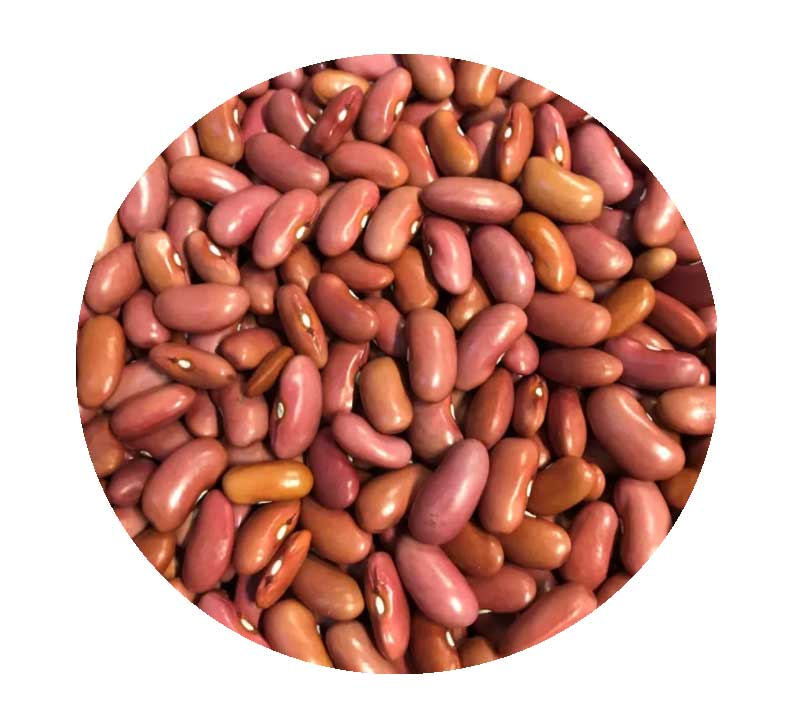 LIGHT-RED-KIDNEY-BEANS.jpg