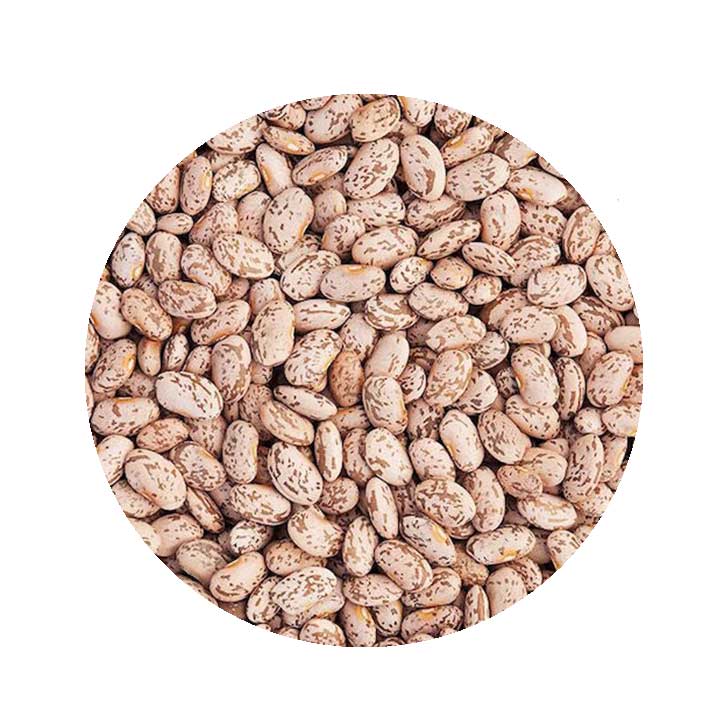 Pinto-beans.jpg